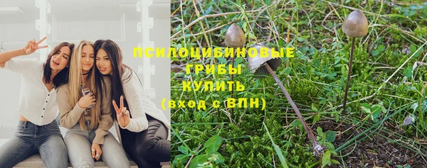 твердый Верея