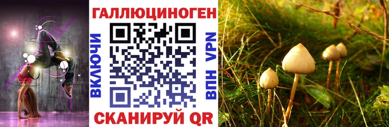 Псилоцибиновые грибы Magic Shrooms  Купить  Новосиль 